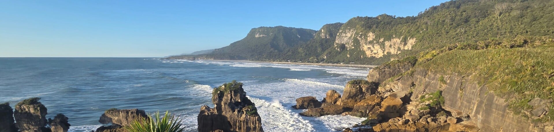 Coastal New Zealand.