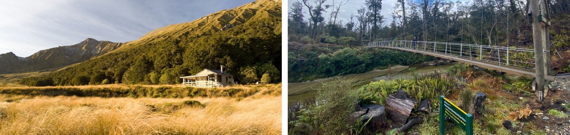 NZ Conservation Land Imagery