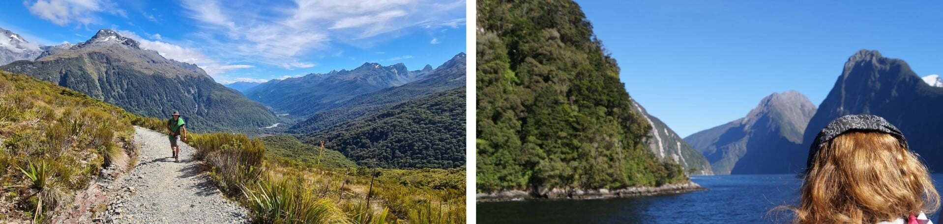 Fiordland landscapes: routeburn hike and milford sounds