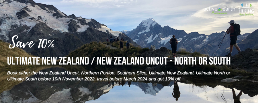 travel package deals nz