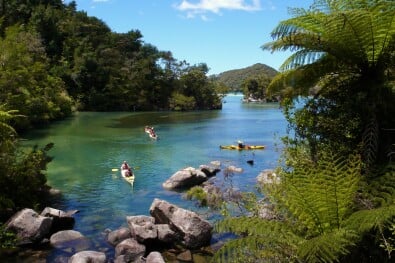 Abel Tasman 3 Day Hike or Kayak