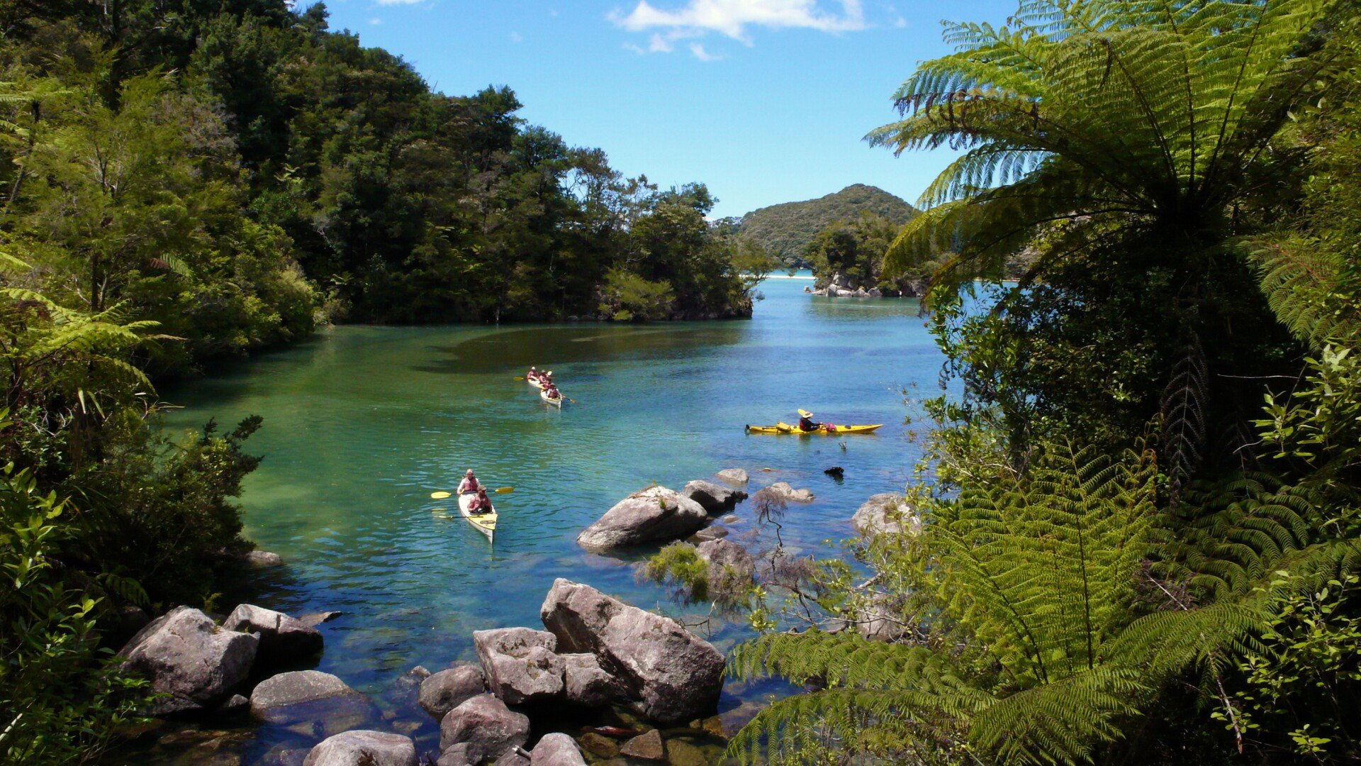 Exploring by kayak places inaccessible by foot.