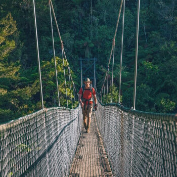 Abel Tasman track