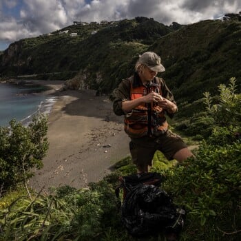 Louis Guide Hiking NZ