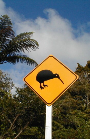kiwi signpost2