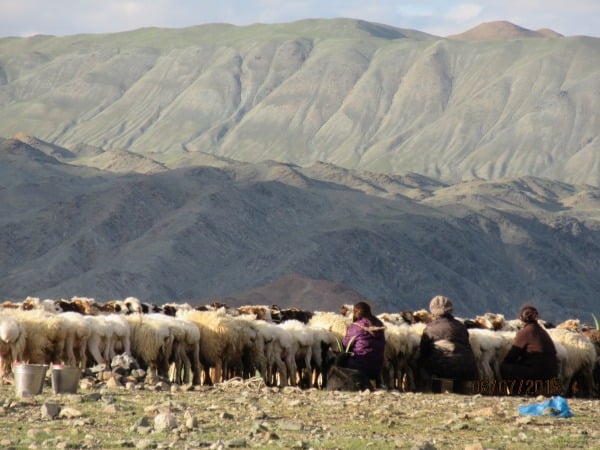 Carolin Wiedig Mongolia Altai July 2
