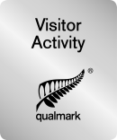 Endorsed Visitor Activity 