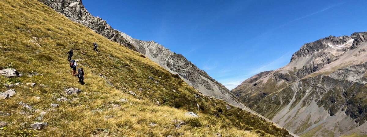 Alpine Hikes | Hiking New Zealand (HikingNZ)