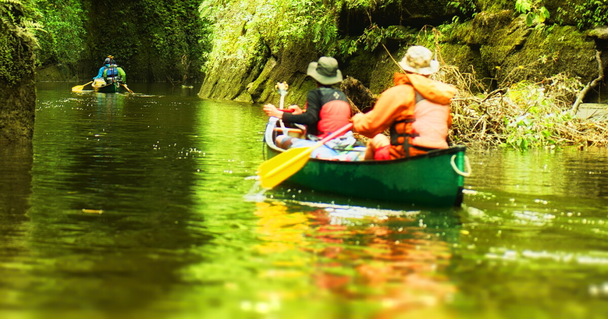 Whanganui River Canoe 5 Day Overview | Hiking New Zealand