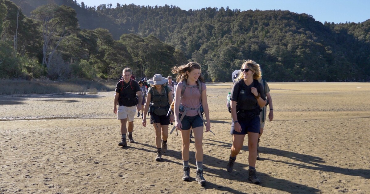 Blog | Hiking New Zealand (HikingNZ)