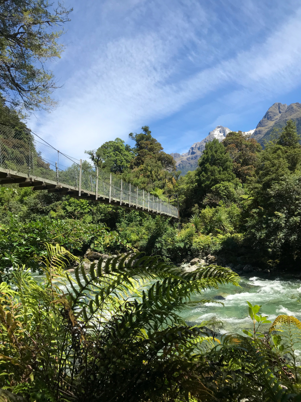 Hike the Hollyford Track