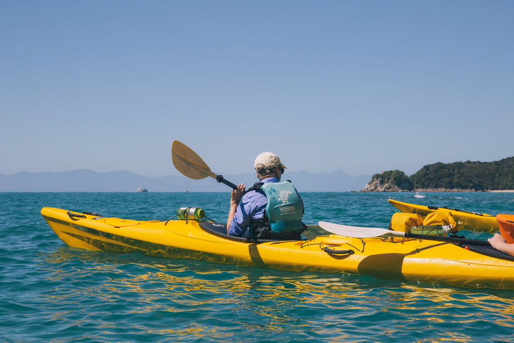 Keep your eyes peeled - endangered Hector’s dolphins inhabit Abel Tasman National Park.