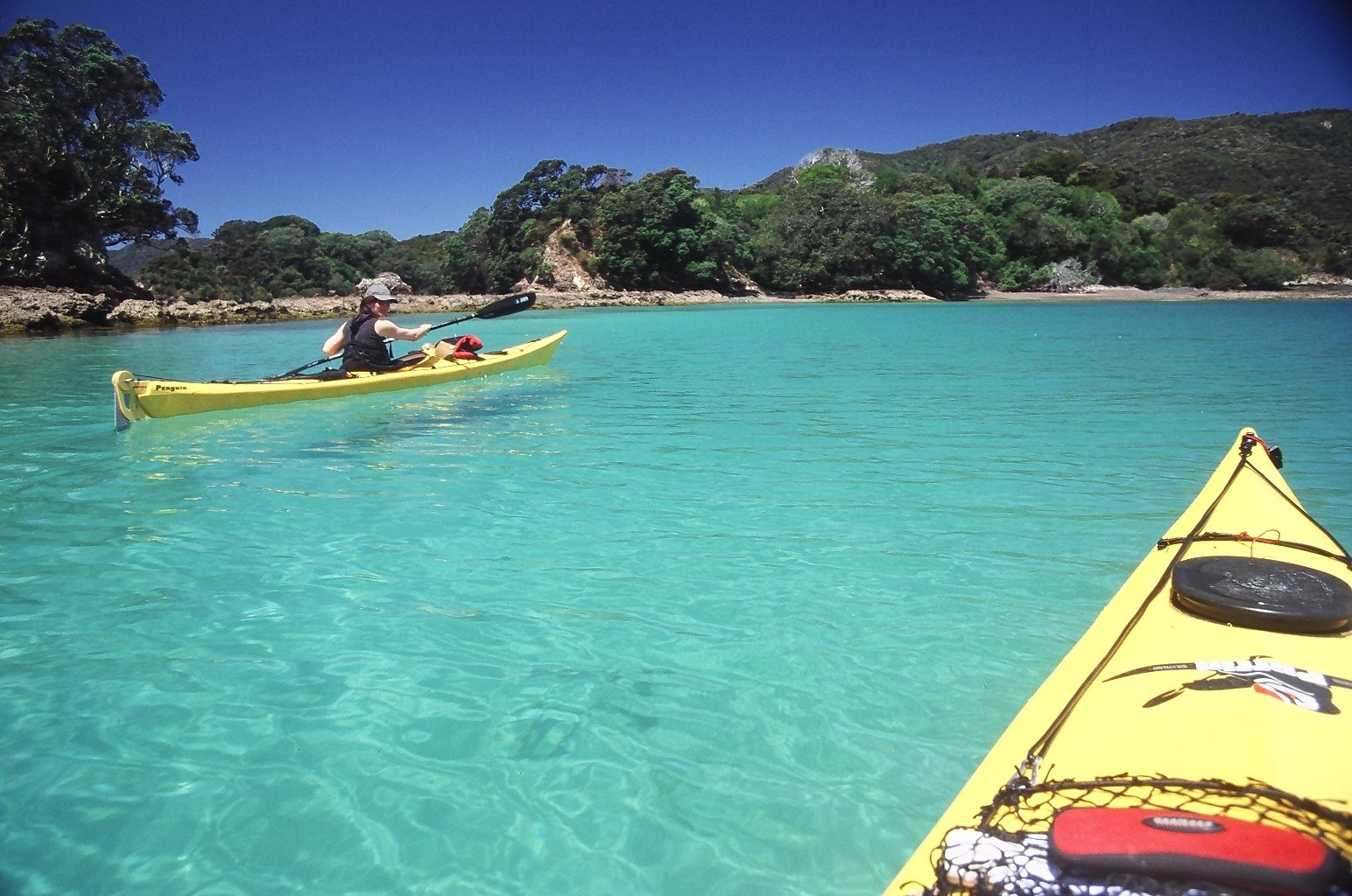 Kayak through the aquamarine waters around the Bay of Islands