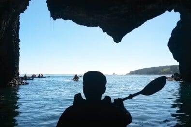 guided kayaking northland New Zealand