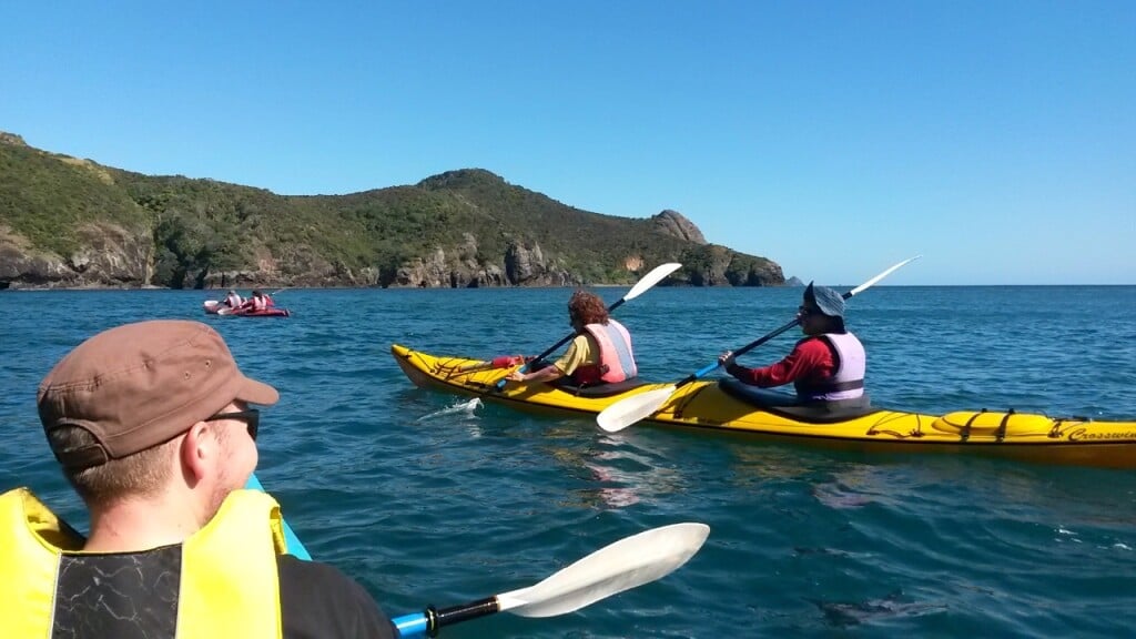 Another day of kayaking in Northland
