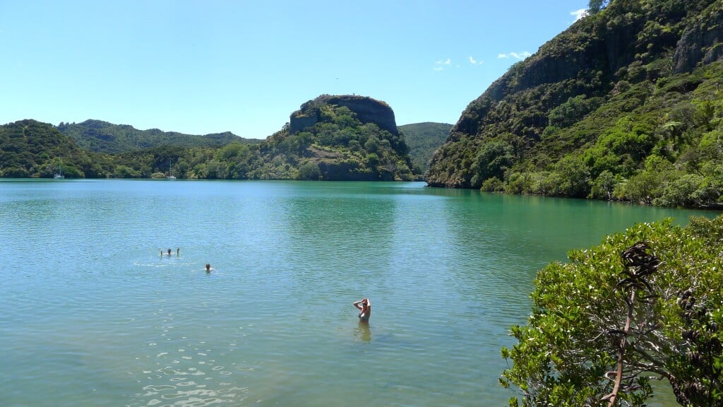 Swimming in the clear waters at Whangaroa Harbour 