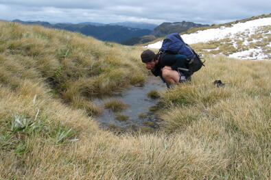 Alpine Hike Drinking fresh water Mt Owen