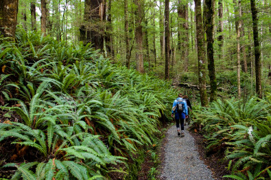 Kepler Track Hiker