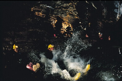 Waitomo Caves 
