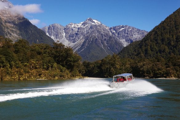 Jet boating on the Hollyford River.