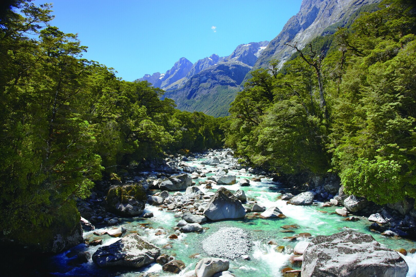 Impressive picture of the Upper Hollyford River.