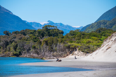 Dunes and valley of Hollyford 