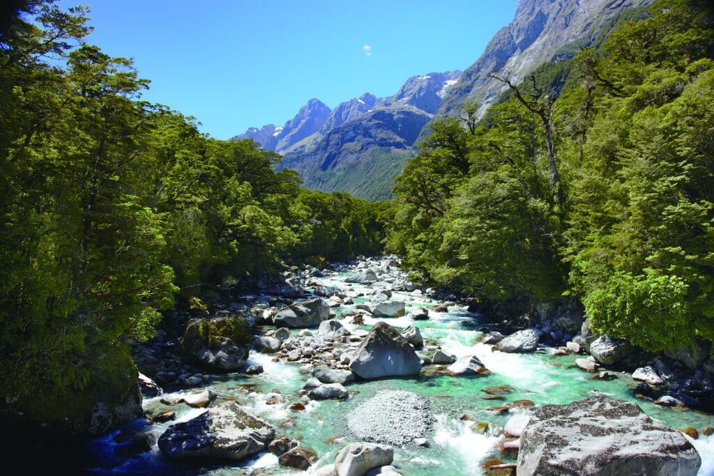 Upper Hollyford River.