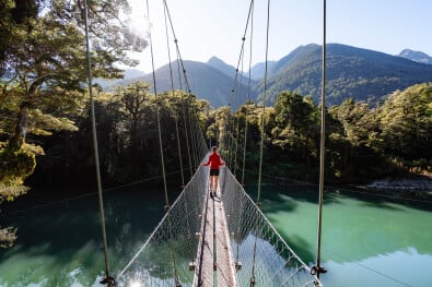 hikingnz hollyford track swing bridge