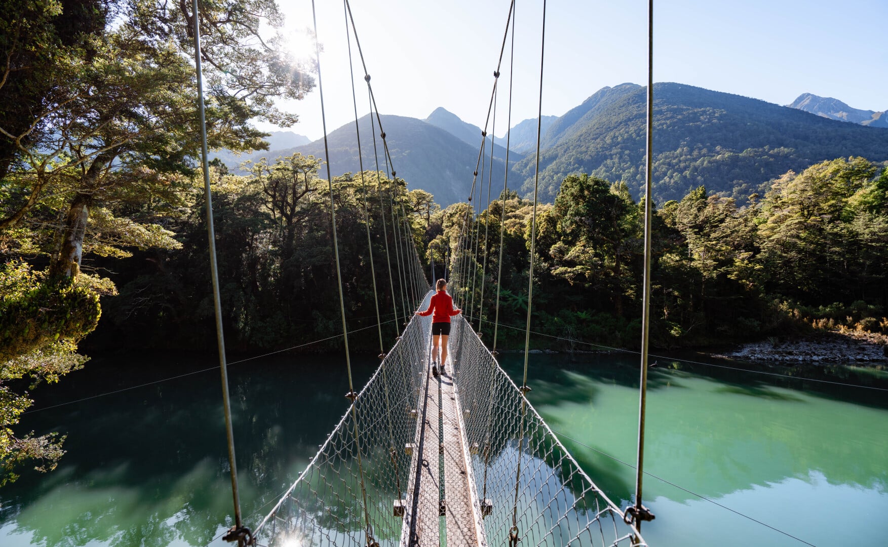 Hollyford Track swing bridge