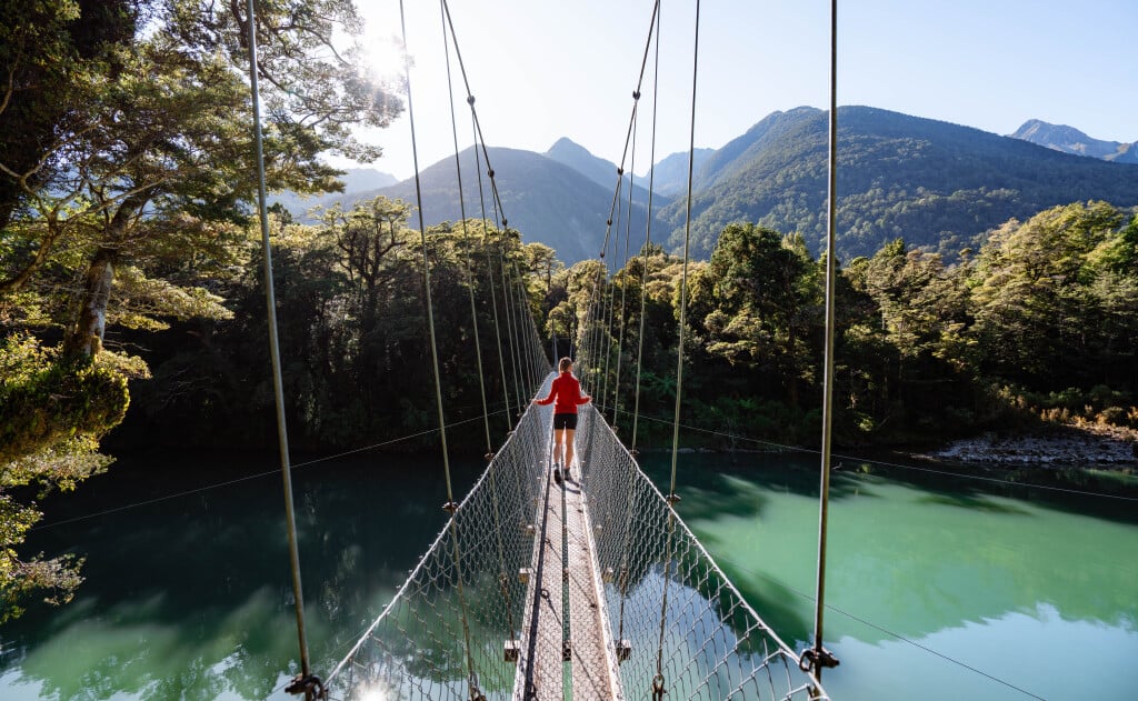 Hollyford Track swing bridge
