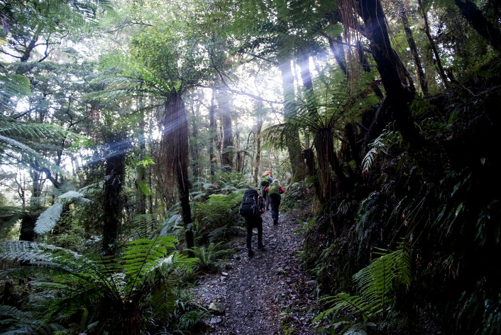 The trail is well-formed, mostly flat, but sections of uneven ground with roots and rocks.