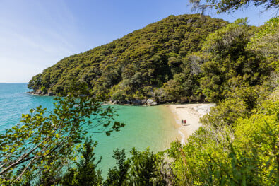 hikingnz able tasman medlands beach