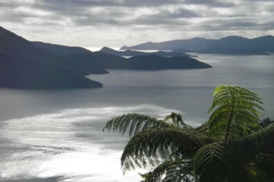 Great Walks Queen Charlotte track panorama