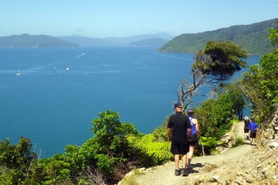 Great walks hiking Queen Charlotte track