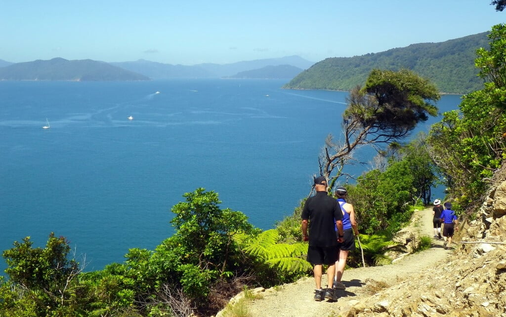 Enjoy well-formed trails on the Queen Charlotte Track.