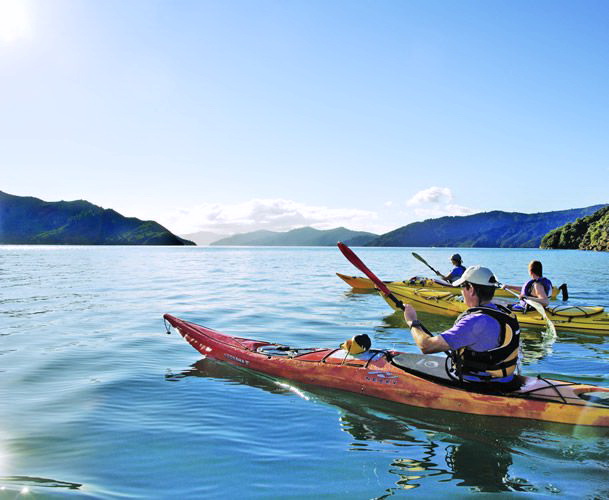 Jump in a kayak for a different view point of the Sounds. 