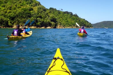 Great walks kayaking Kenepuru Sound