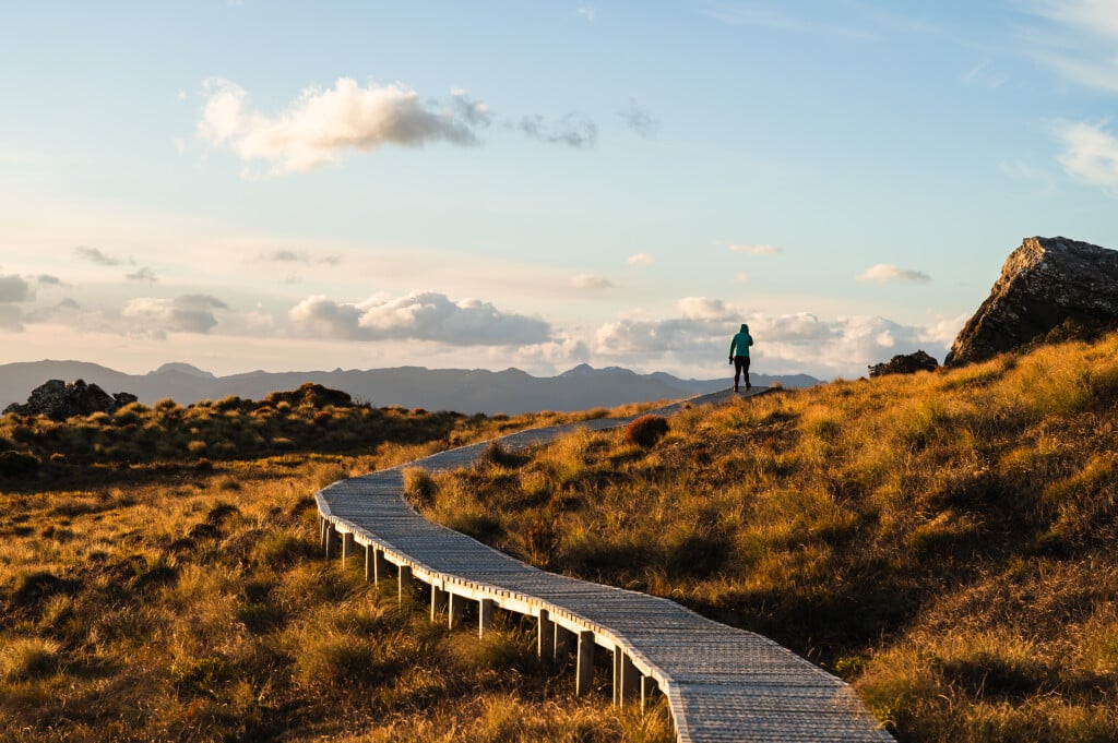 New Zealand’s newest Great Walk opened back in October 2024.