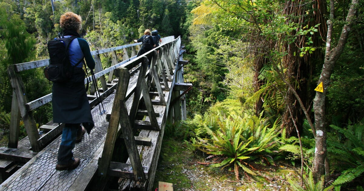 Hump Ridge Track Photos Hiking NZ