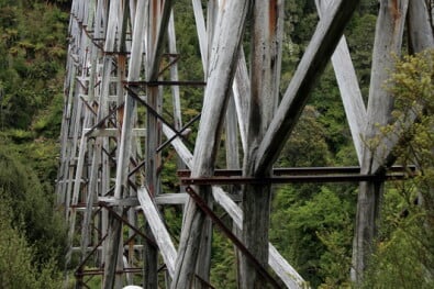 Great Walks Hump Ridge Track Bridge