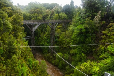 Viaducts Hump Ridge Great Walk