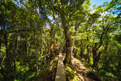 Hump Ridge Hike