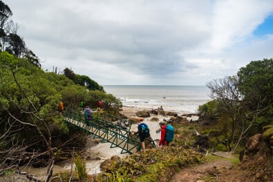 Hump Ridge Track Bridge