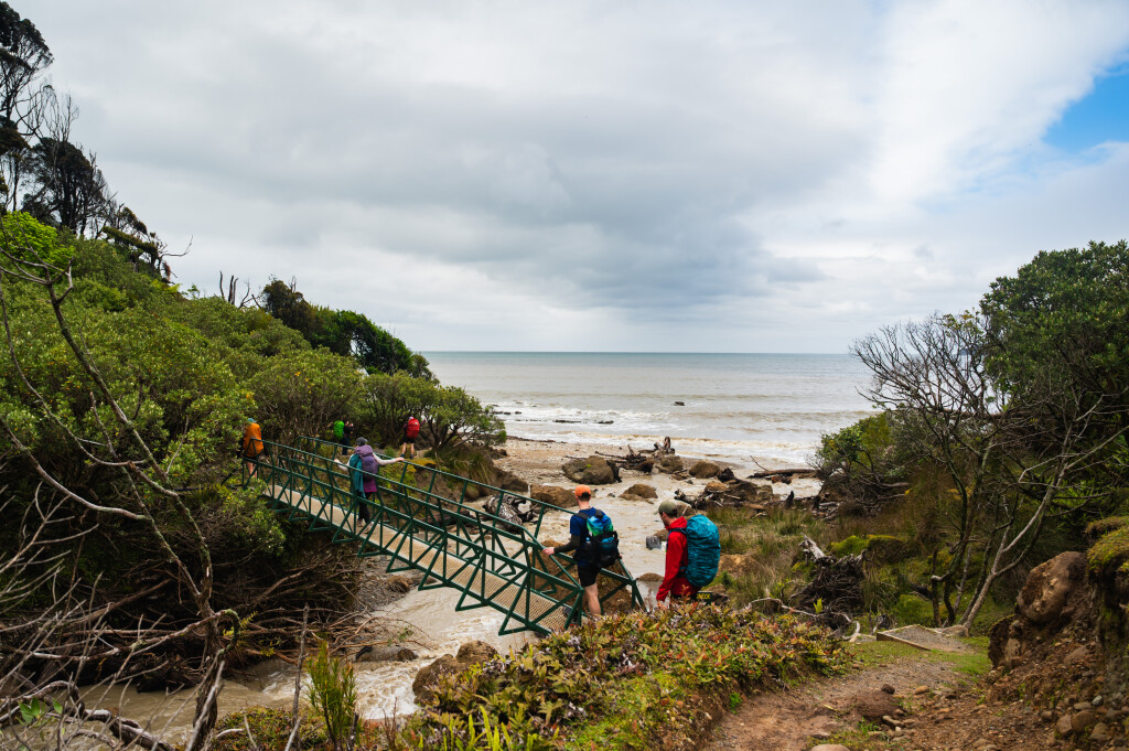 Tidal rivers are crossed by bridges on the Hump Ridge Track. 