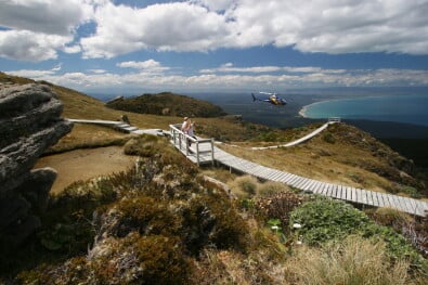 Hump Ridge Track Loop