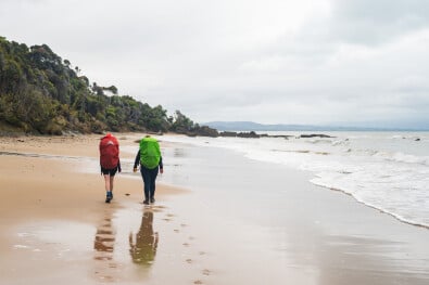 Hump Ridge Track beach