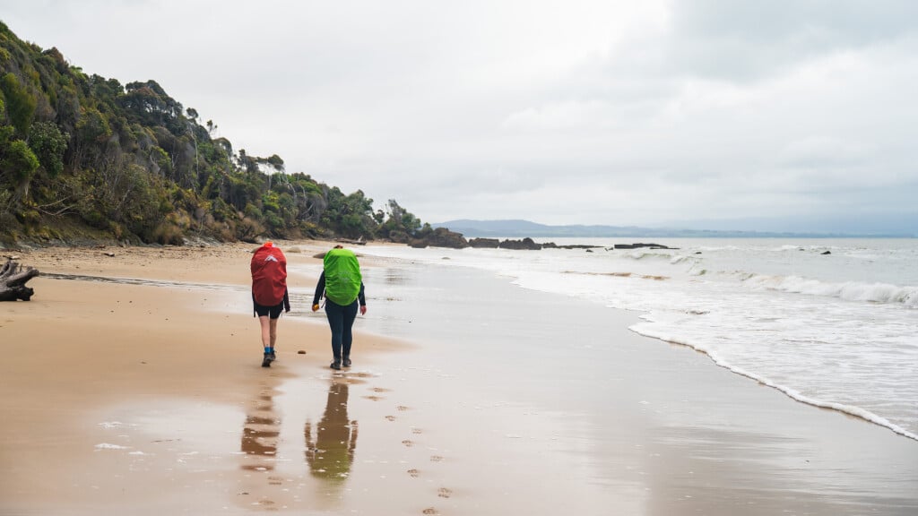 Walking these wild southern beaches is a glimpse into a world before human arrival.