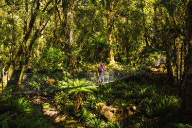 Swing Bridge Hump Ridge Great Walk