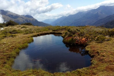 Fiordland National Park NZ