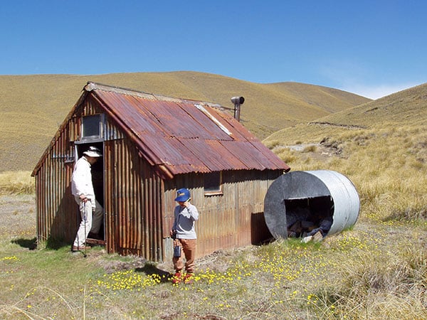 Check out an original musterers' hut nestled between the rolling hills.